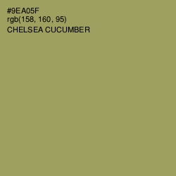 #9EA05F - Chelsea Cucumber Color Image